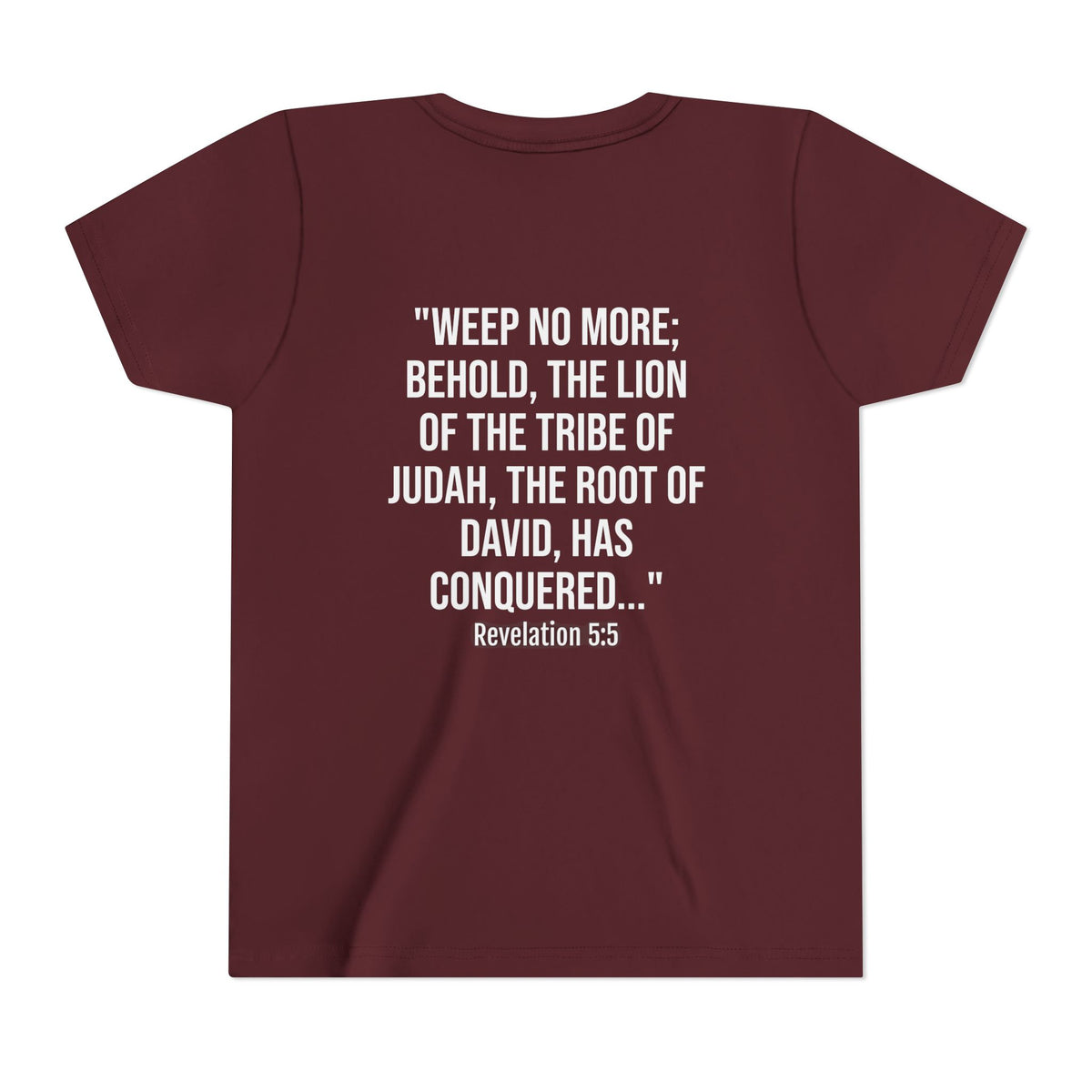 Youth Christian Lion Tee, Faith T-Shirt, Inspirational Kids Shirt, Religious Gift, Bible Verse Apparel
