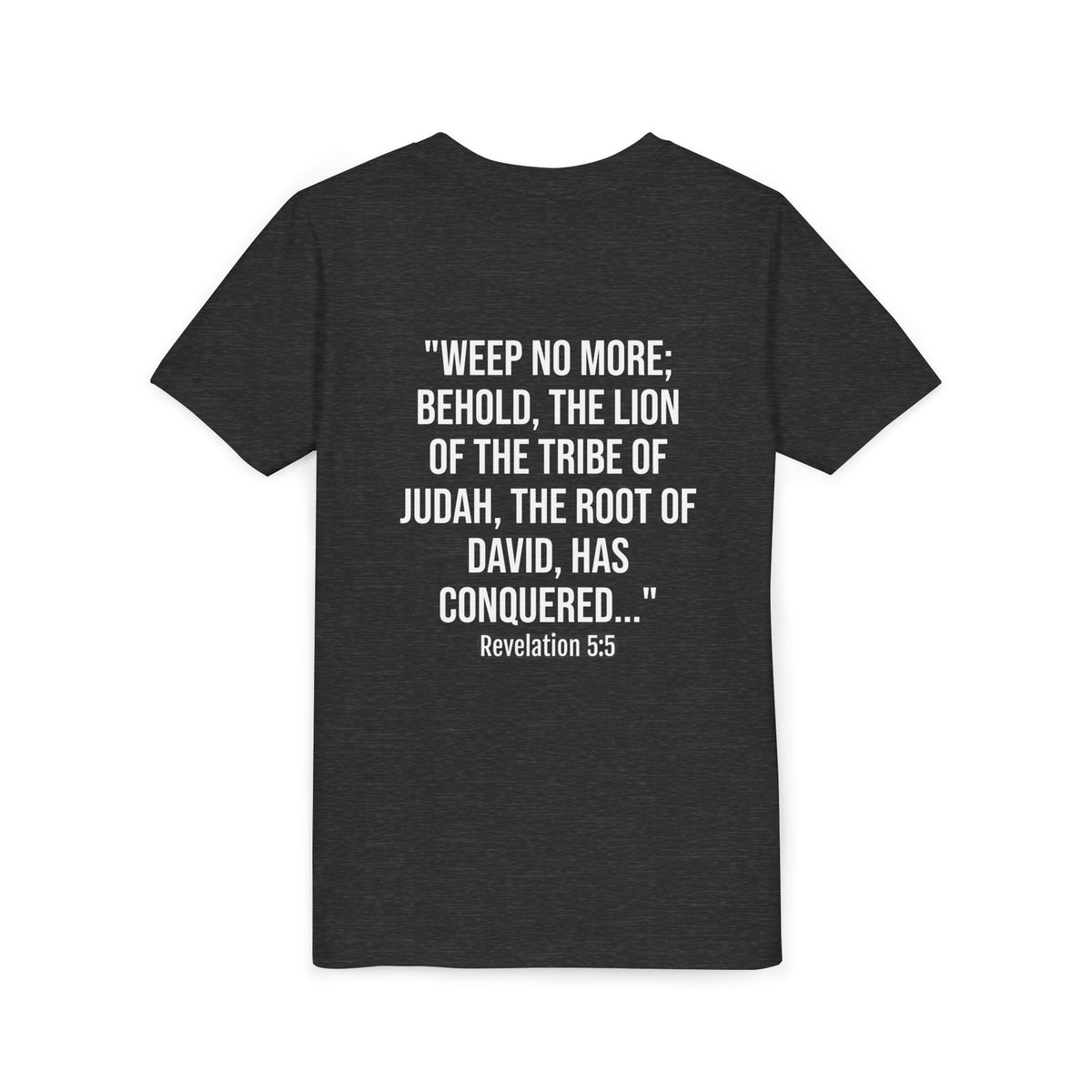 Youth Christian Lion Tee, Faith T-Shirt, Inspirational Kids Shirt, Religious Gift, Bible Verse Apparel