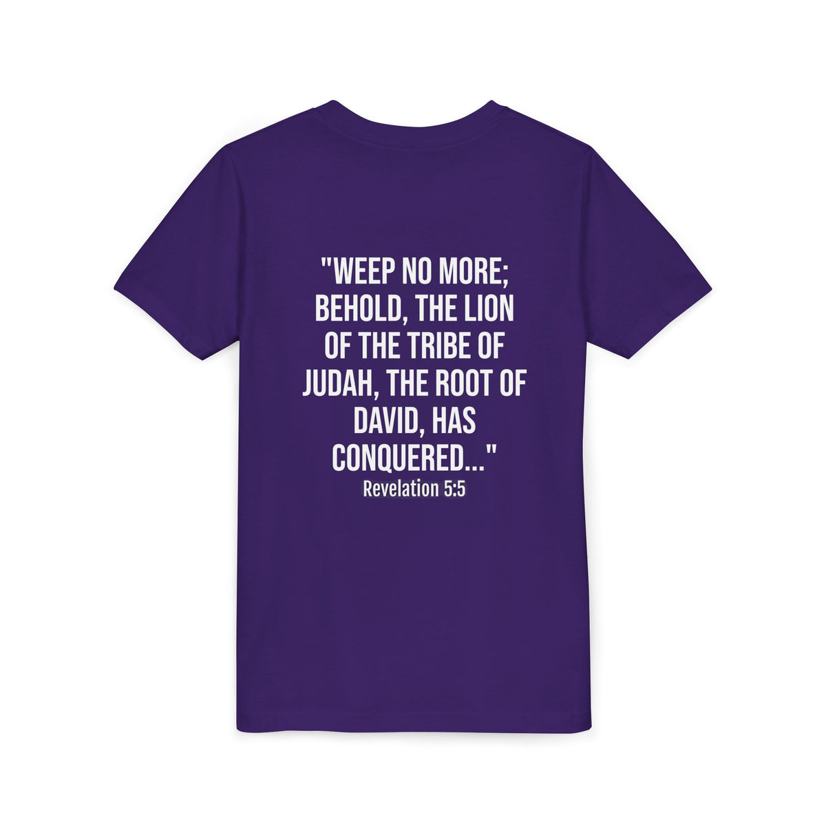 Youth Christian Lion Tee, Faith T-Shirt, Inspirational Kids Shirt, Religious Gift, Bible Verse Apparel