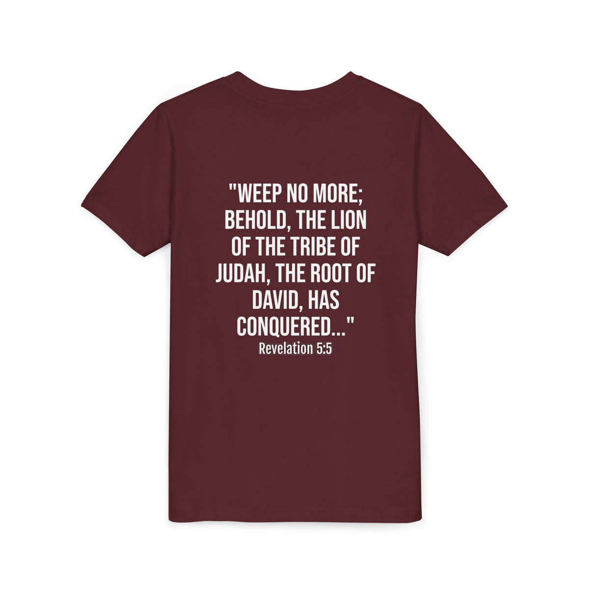 Youth Christian Lion Tee, Faith T-Shirt, Inspirational Kids Shirt, Religious Gift, Bible Verse Apparel