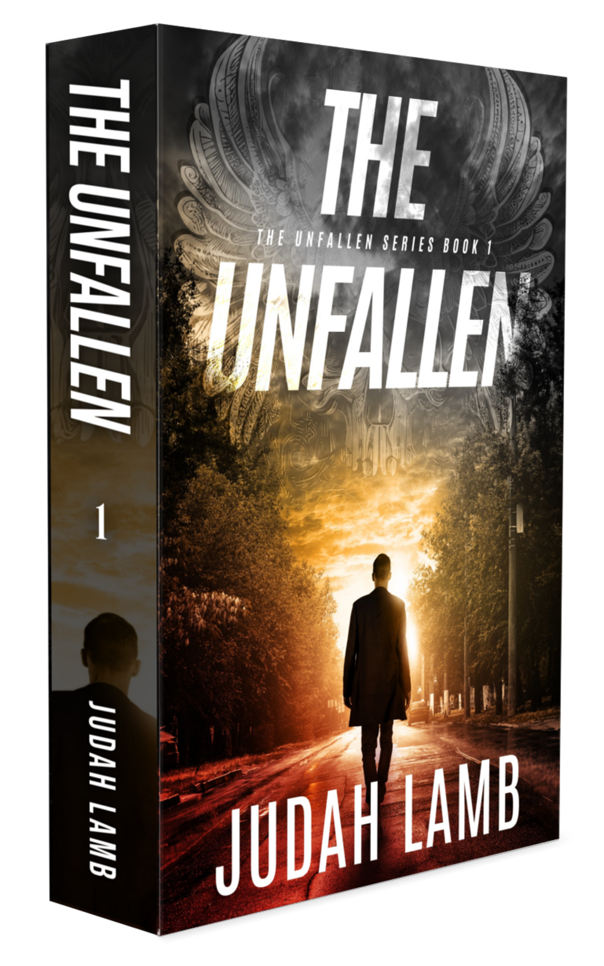 The Unfallen (The Unfallen Series #1) Paperback