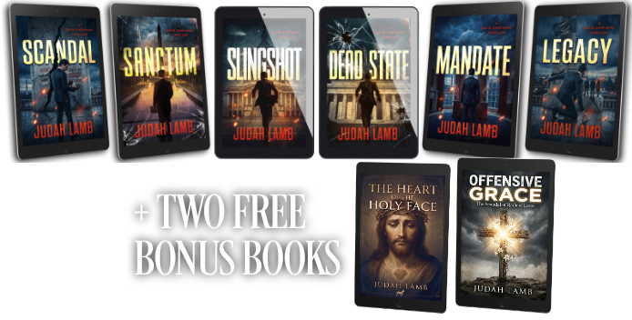 Slingshot, Dead State, and Sanctum e-book covers — The David Shepherd Series