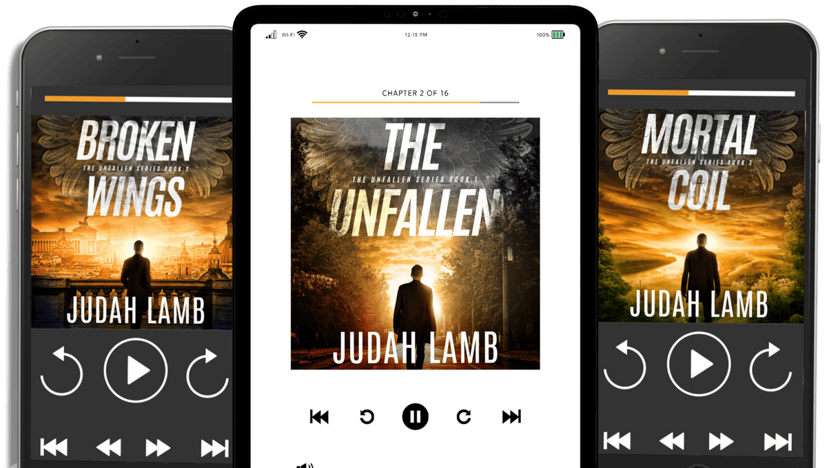 Broken Wings audiobook